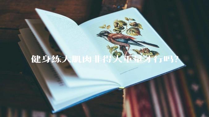 健身练大肌肉非得大重量才行吗？