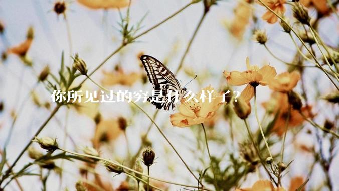 你所见过的穷是什么样子？