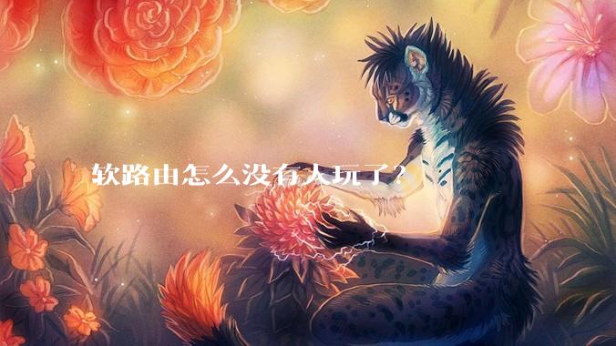 软路由怎么没有人玩了？