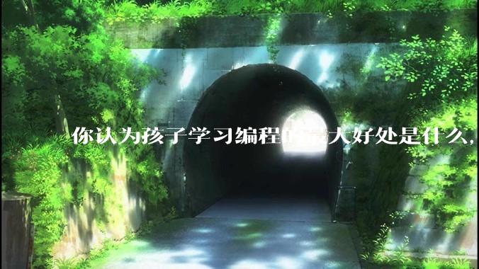 你认为孩子学习编程的最大好处是什么，等级考试有用吗?